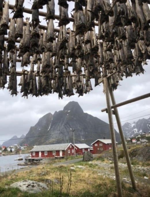 Exclusive And Genuine In Lofoten- Sauna Included Москенес Екстериор снимка